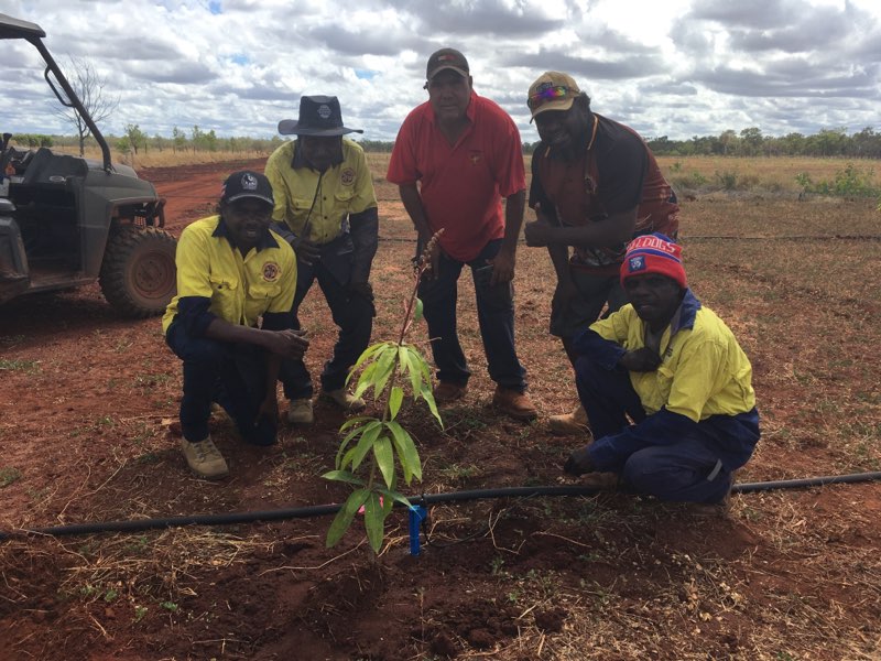 Seeding new Skills at Katherine Research Centre