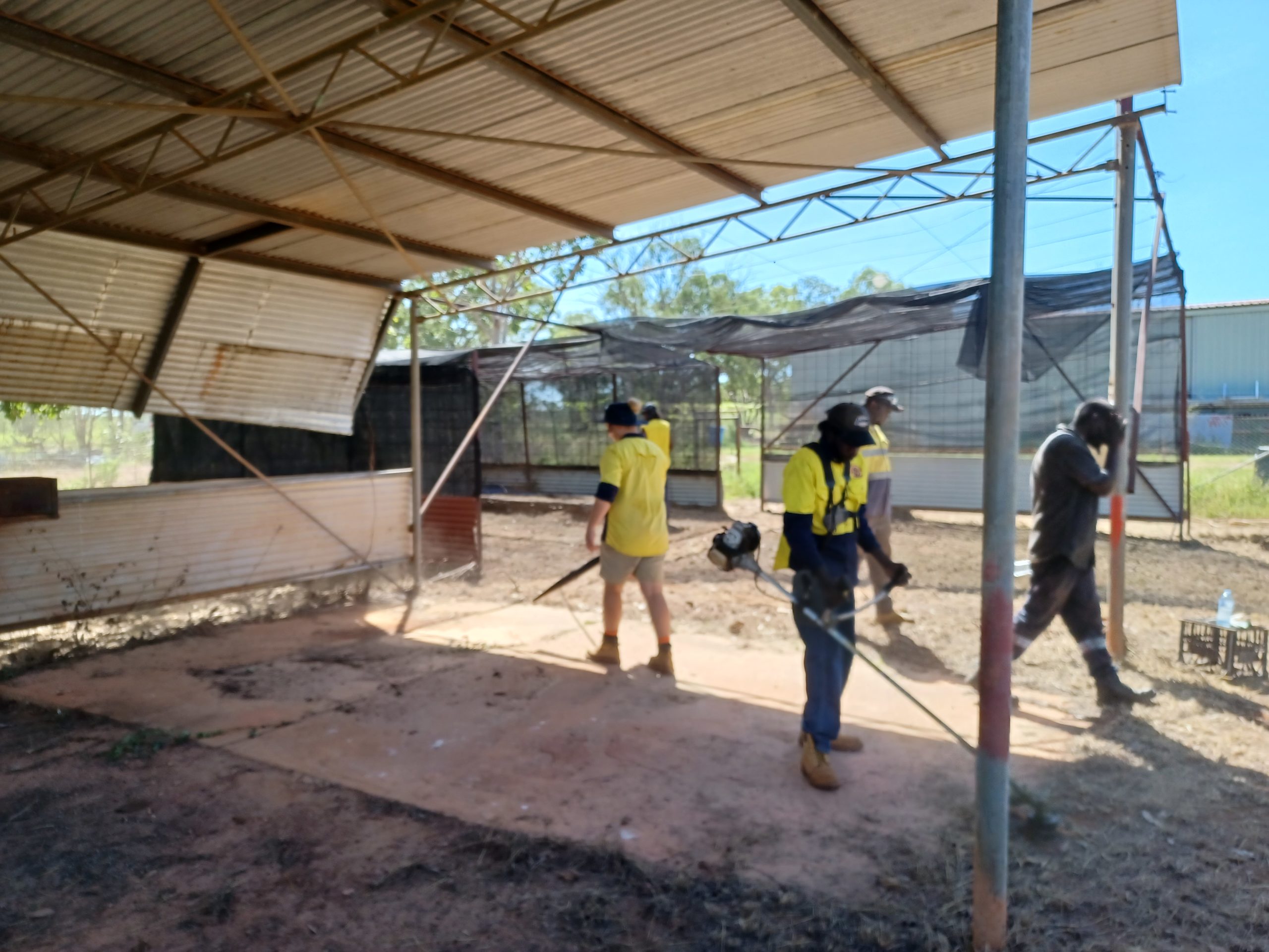 Manyallaluk Shade House Clean Up