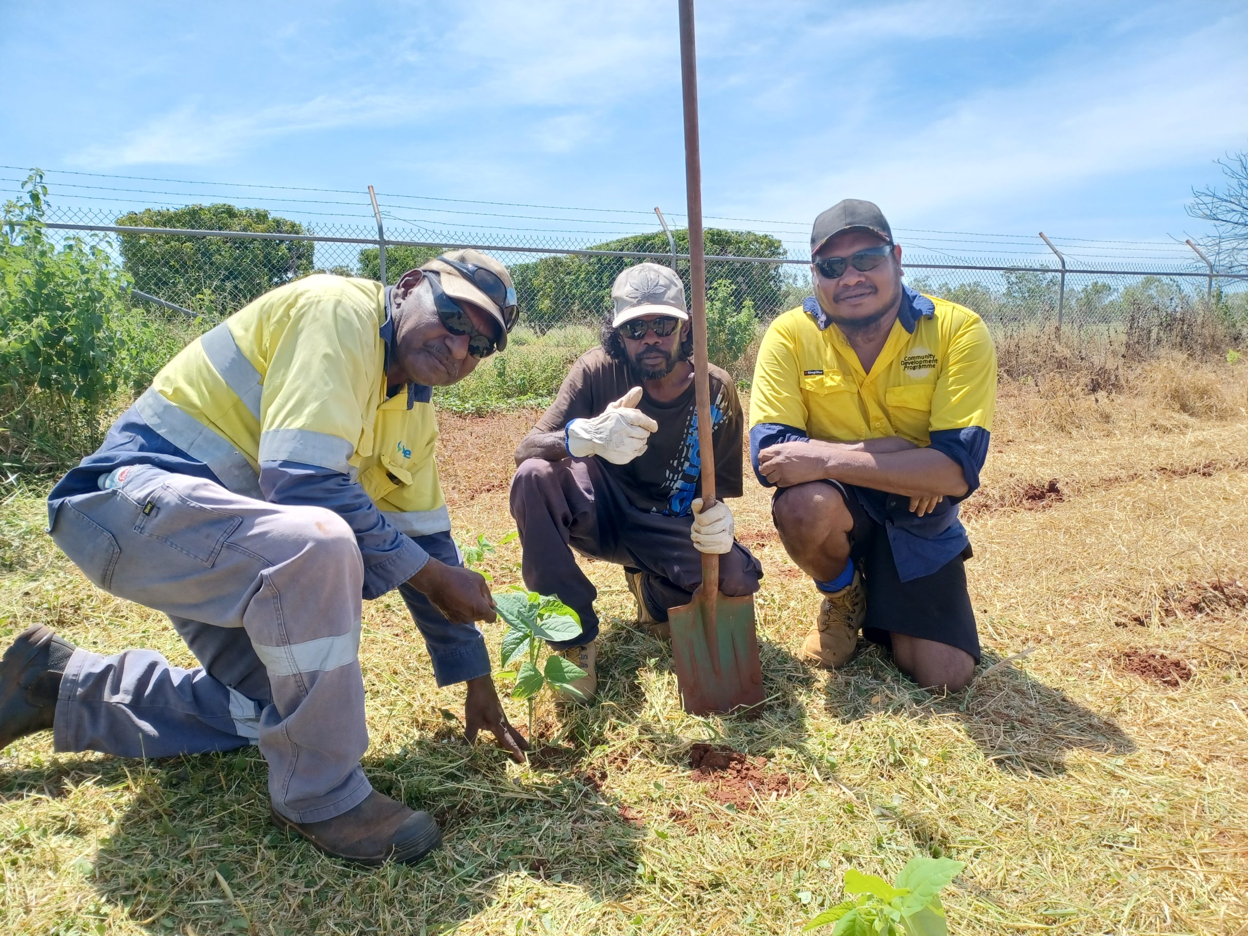 Repairs and Planting at the Katherine Research Station