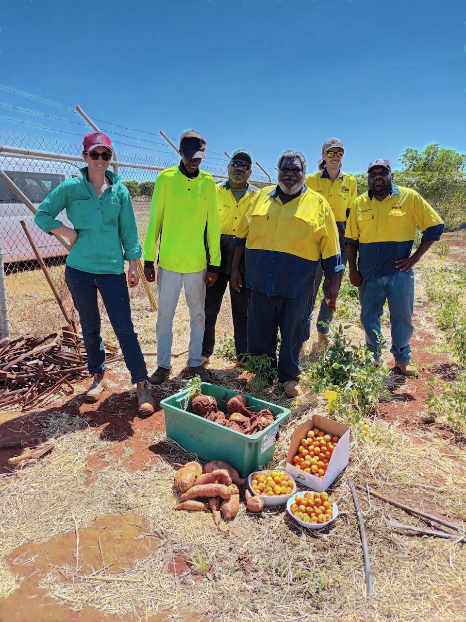 Binjari crew enjoy the fruits (and vegetables) of their labour at Katherine Research Station 